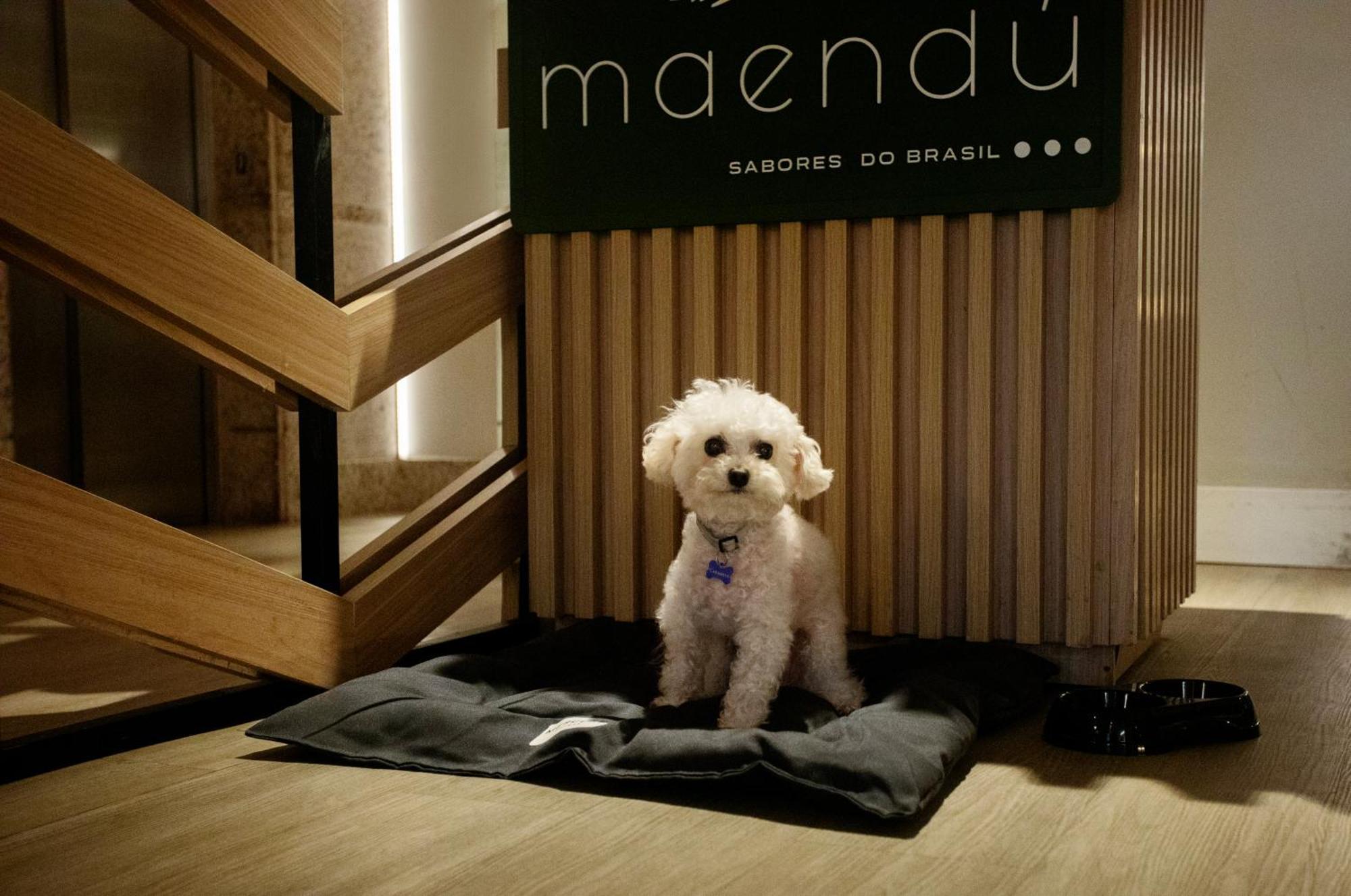 Mercure Maceio Pajuçara Extérieur photo